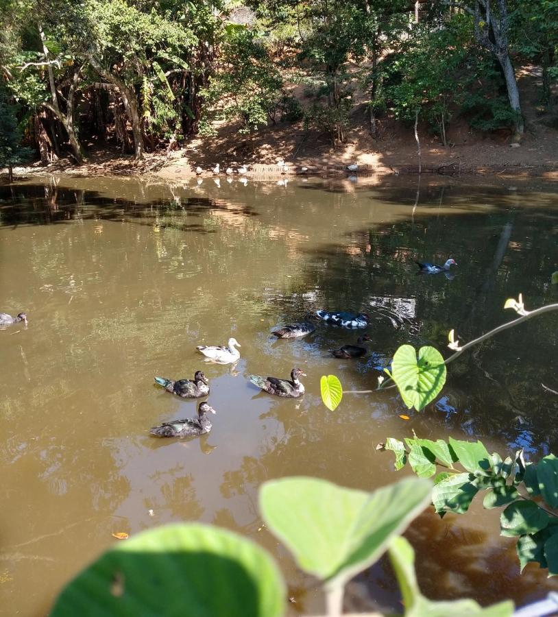 Pousada Realeza Atibaia Bagian luar foto